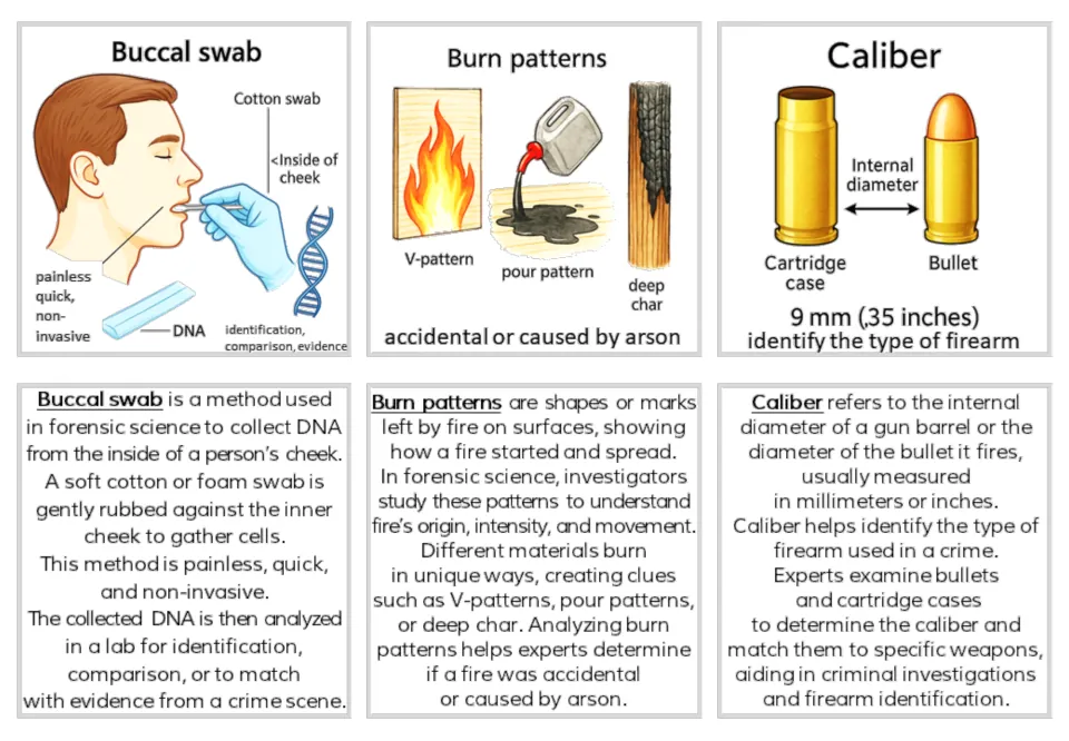 Forensics illustrated and text card pairs for Buccal swab DNA collection, Burn patterns, and Caliber