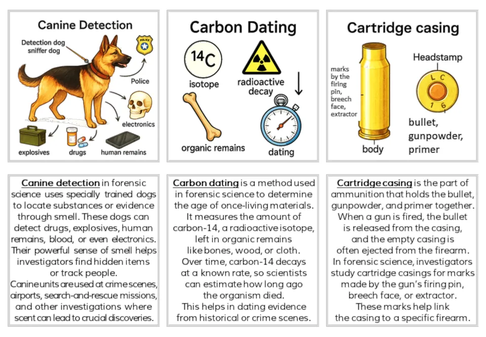 Forensics illustrated and text card pairs for Canine Detection, Carbon Dating, and Cartridge casing