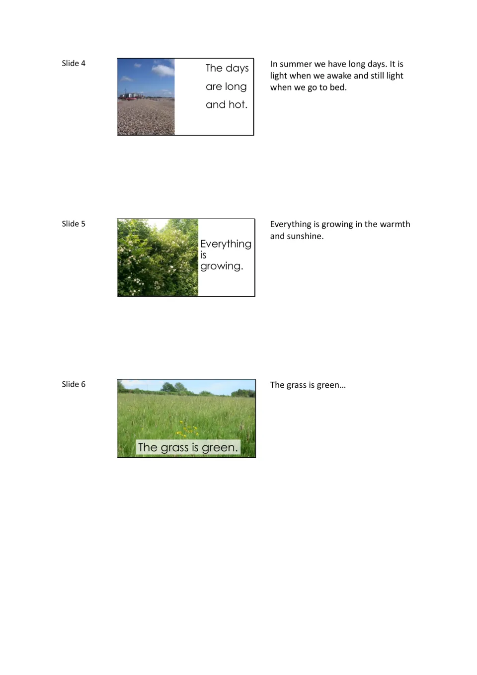 Summer slides 4 to 6: long hot days on a pebble beach, everything growing in the sunshine, and a field of green grass
