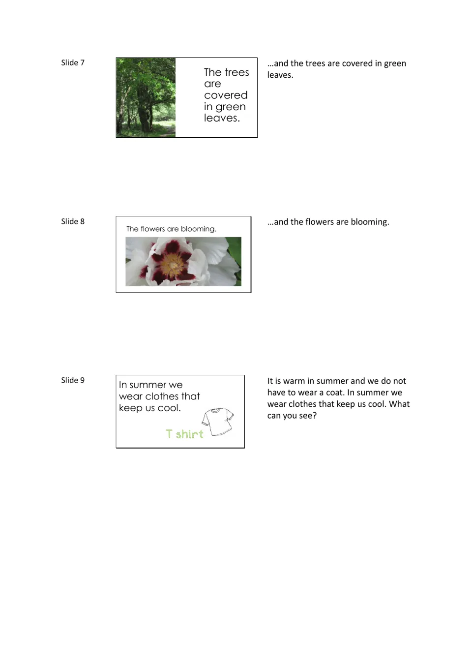 Summer slides 7 to 9: trees covered in green leaves, a blooming white flower, and clothes that keep us cool, a T-shirt