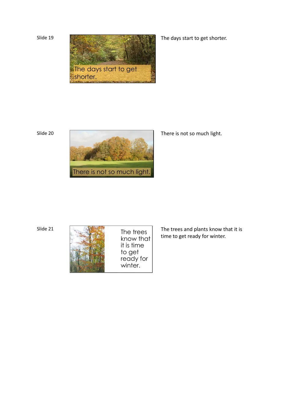 Autumn slides 19 to 21: the days get shorter, there is not so much light, and trees get ready for winter