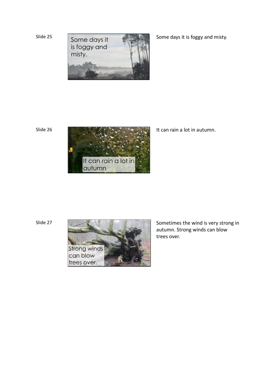 Autumn weather slides 25 to 27: foggy and misty days, lots of rain on leaves, and strong winds that blow trees over
