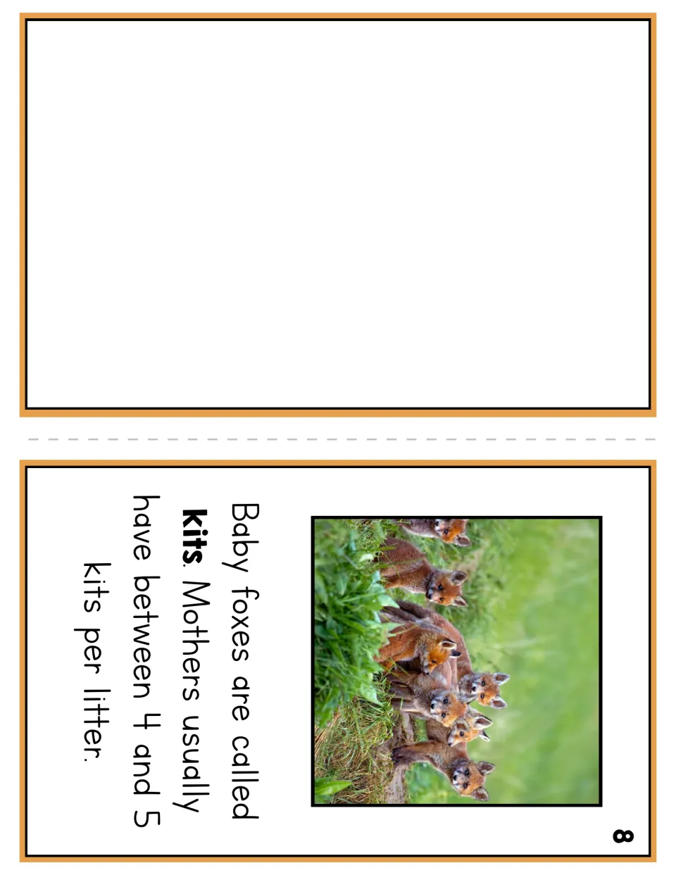 Booklet page 8 on young foxes: baby foxes are called kits, mothers have 4 to 5 kits per litter, with a photo of kits
