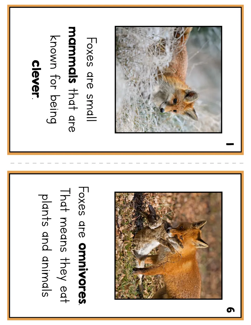 Booklet pages 1 and 6: foxes are small mammals known for being clever; foxes are omnivores that eat plants and animals