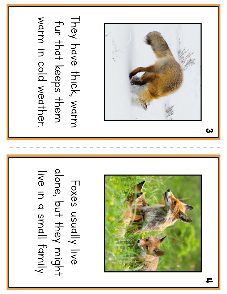Booklet pages 3 and 4: thick, warm fur keeps foxes warm in cold weather; foxes usually live alone or in a small family