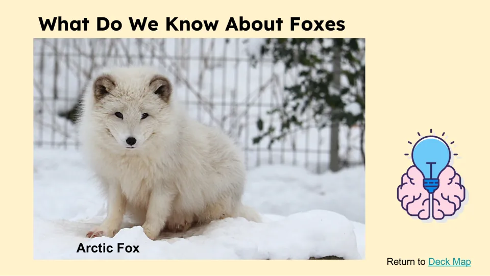What Do We Know About Foxes slide features a white fox sitting in snow, labeled “Arctic Fox”