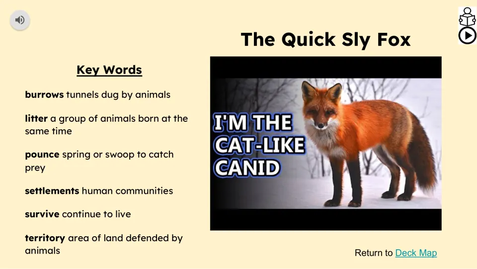 The Quick Sly Fox video slide defines six key words: burrows, litter, pounce, settlements, survive, and territory