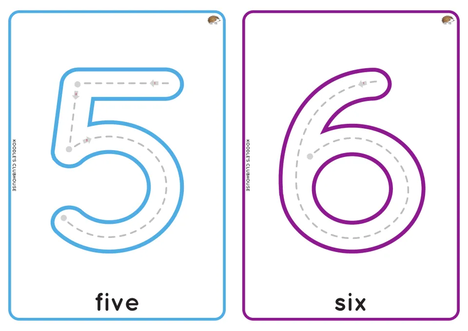 Numbers 5 and 6 tracing cards showing stroke order arrows on dashed paths, labeled with the number words five and six