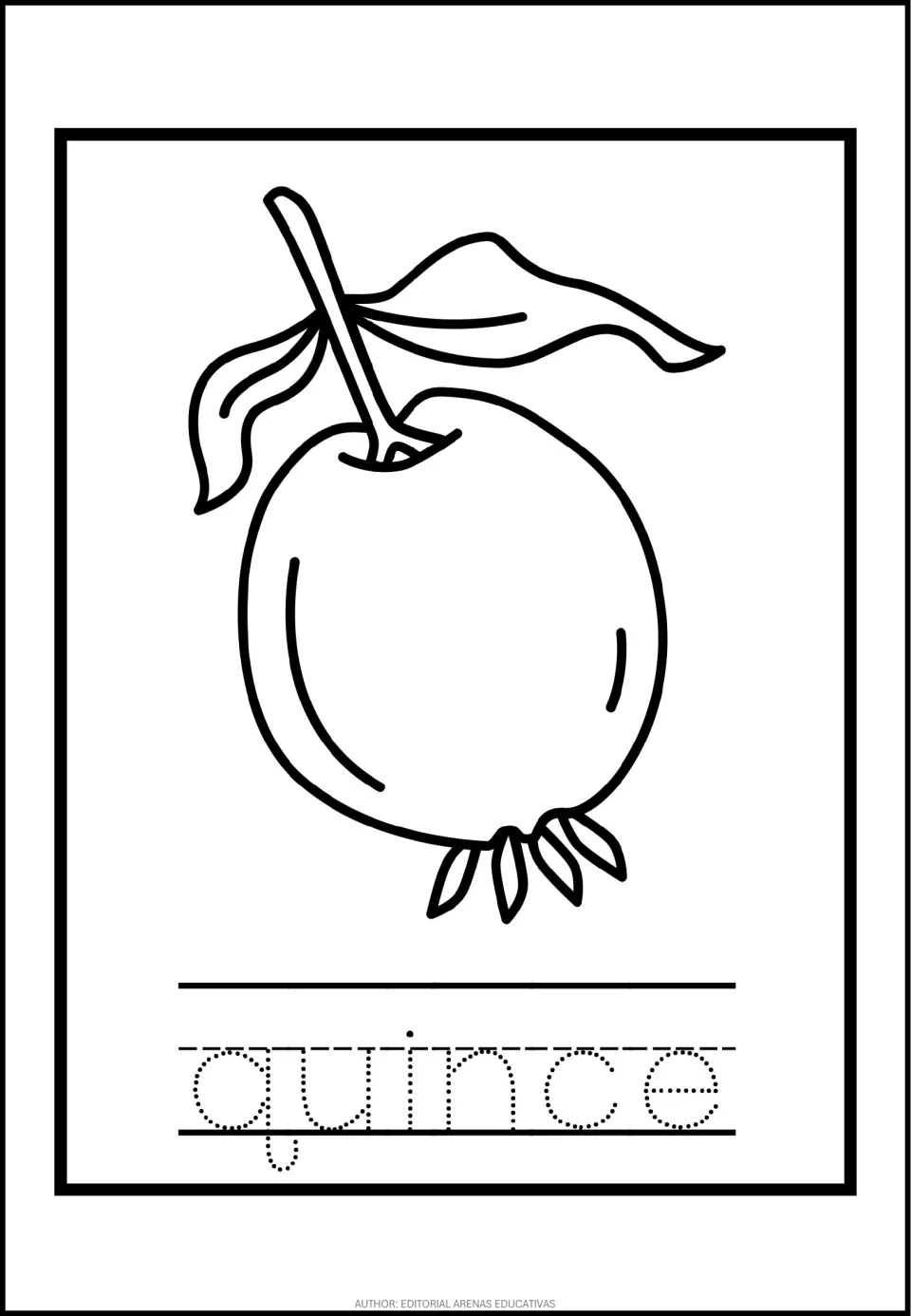 Quince vocabulary: students color a quince hanging with leaves, then trace the dotted word quince on the lines