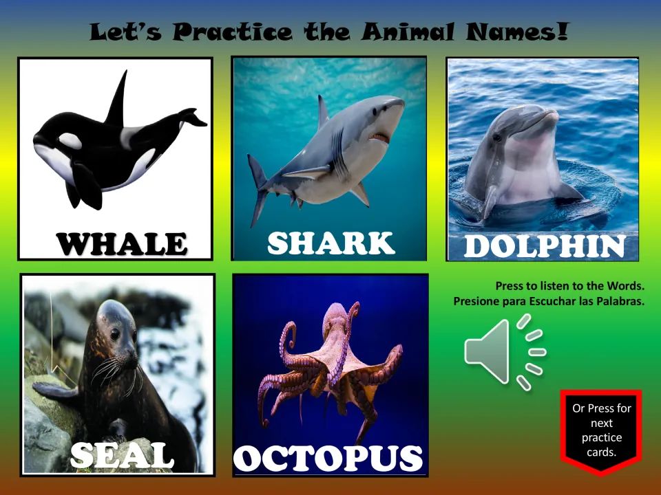 Animal vocabulary practice slide 4: whale, shark, dolphin, seal, and octopus, with a listening button