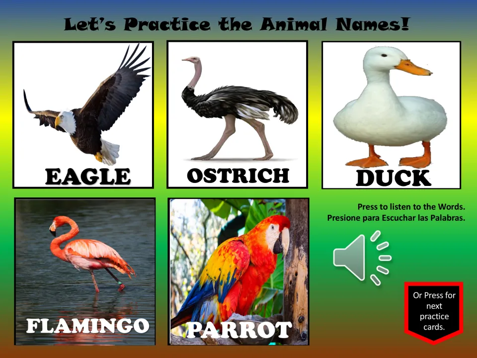 Animal vocabulary practice slide 6: eagle, ostrich, duck, flamingo, and parrot, with a listening button