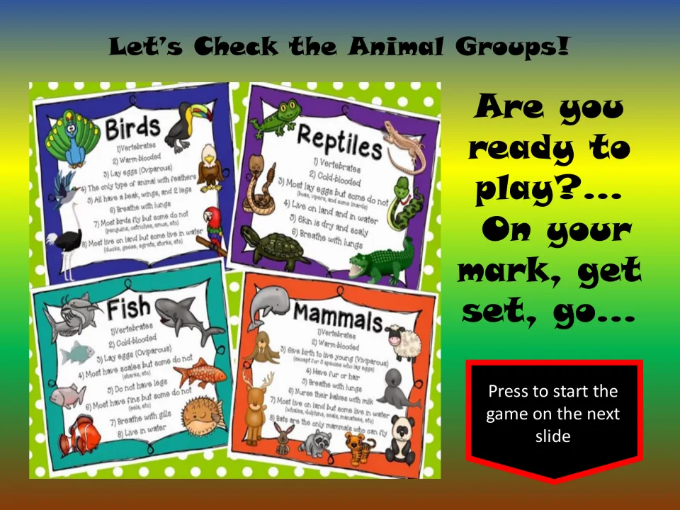 Animal-group review slide: birds, reptiles, fish, and mammals, with a button to begin the memory game