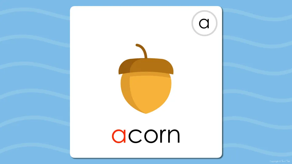 Long A digital flashcard revealing the word 'acorn' beneath its picture, with the initial a colored red