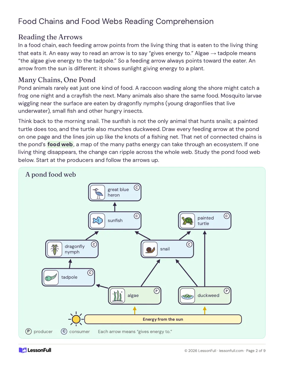 Reading the arrows and Many Chains, One Pond, ending with a labeled pond food web from algae up to a great blue heron