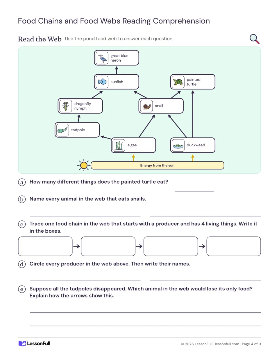 Read the Web: students use the pond food web to count foods, trace a four-step chain and circle each producer