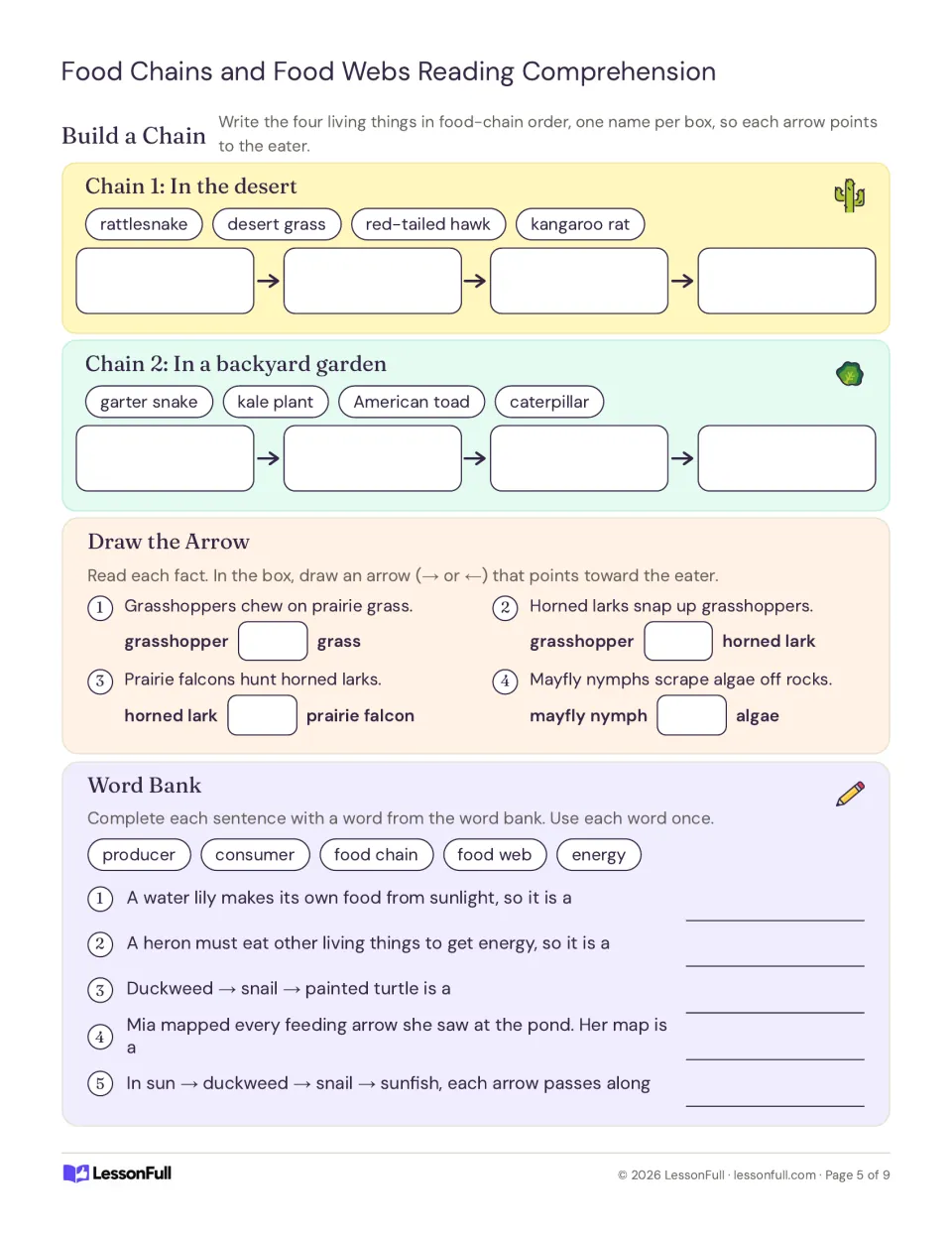 Build a Chain in desert and garden settings, draw arrows toward the eater and complete a food chain word bank