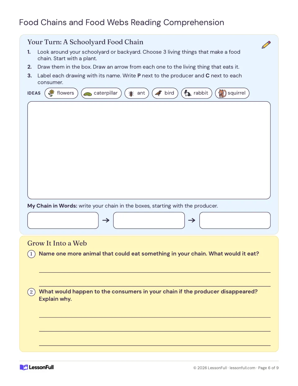 Your Turn: students draw a schoolyard food chain with a producer, label P and C, then grow it into a web