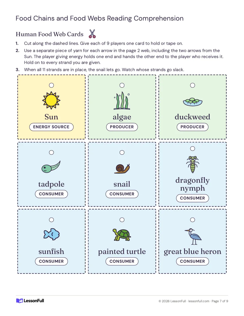 Human food web cards for sun, algae, duckweed, tadpole, snail and other pond living things, used with yarn