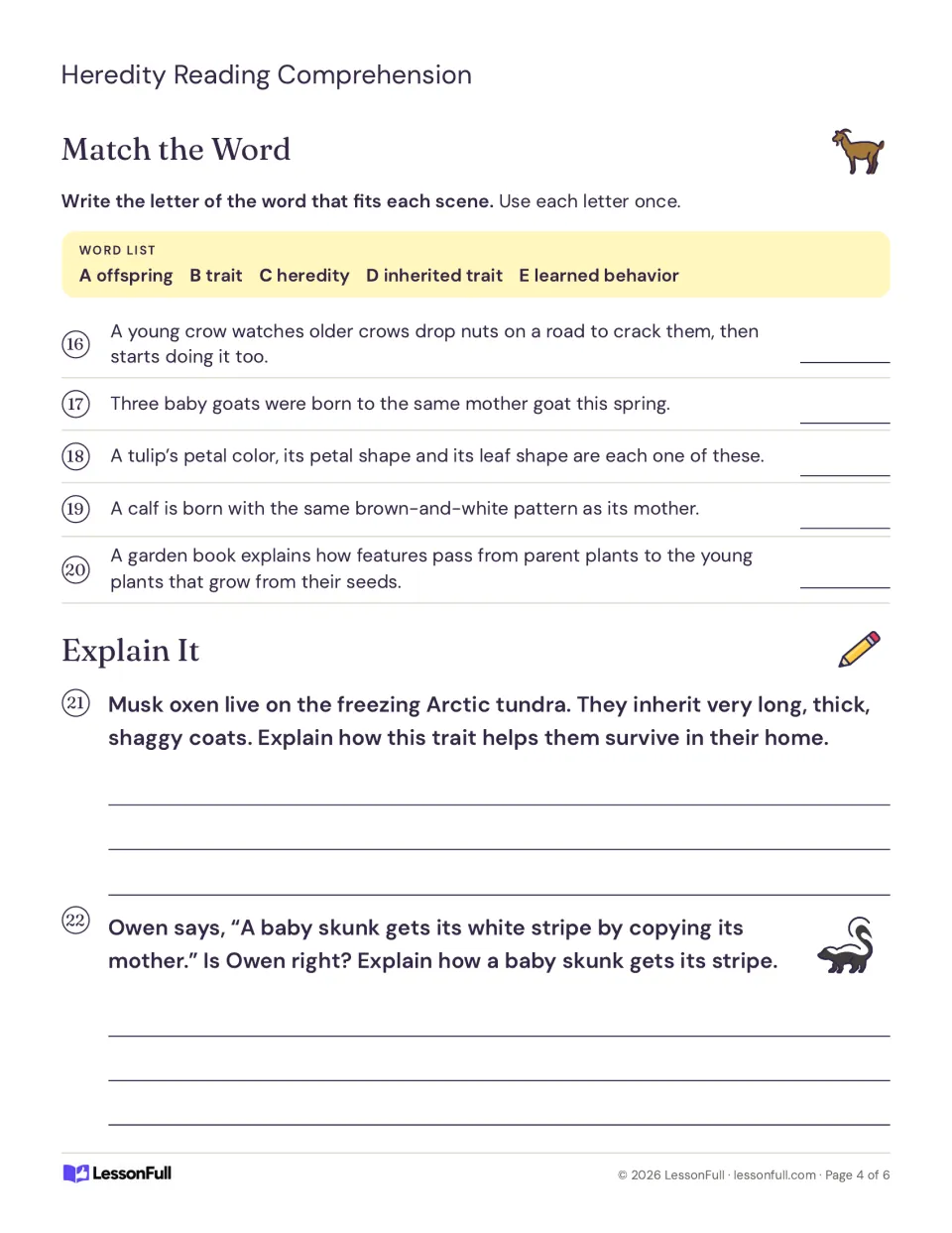 Match the Word and Explain It: students match heredity vocabulary to scenes, then explain musk ox and skunk traits