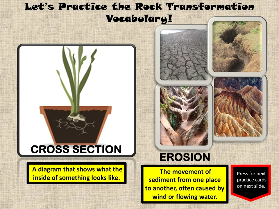 Vocabulary practice slide defines cross section and erosion, using a plant diagram and landscape photos