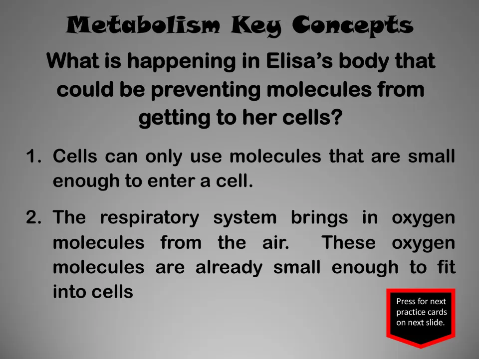 Metabolism concepts explain molecule size for entering cells and the respiratory system bringing in oxygen
