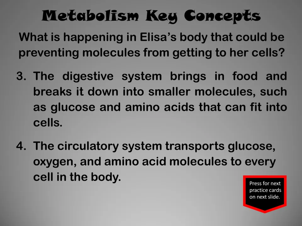 Metabolism concepts explain digestion into smaller molecules and circulation of glucose, oxygen, and amino acids