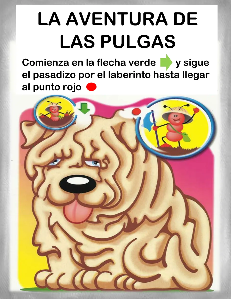 La aventura de las pulgas: students trace a path through a wrinkly dog's fur from the green arrow to the red dot