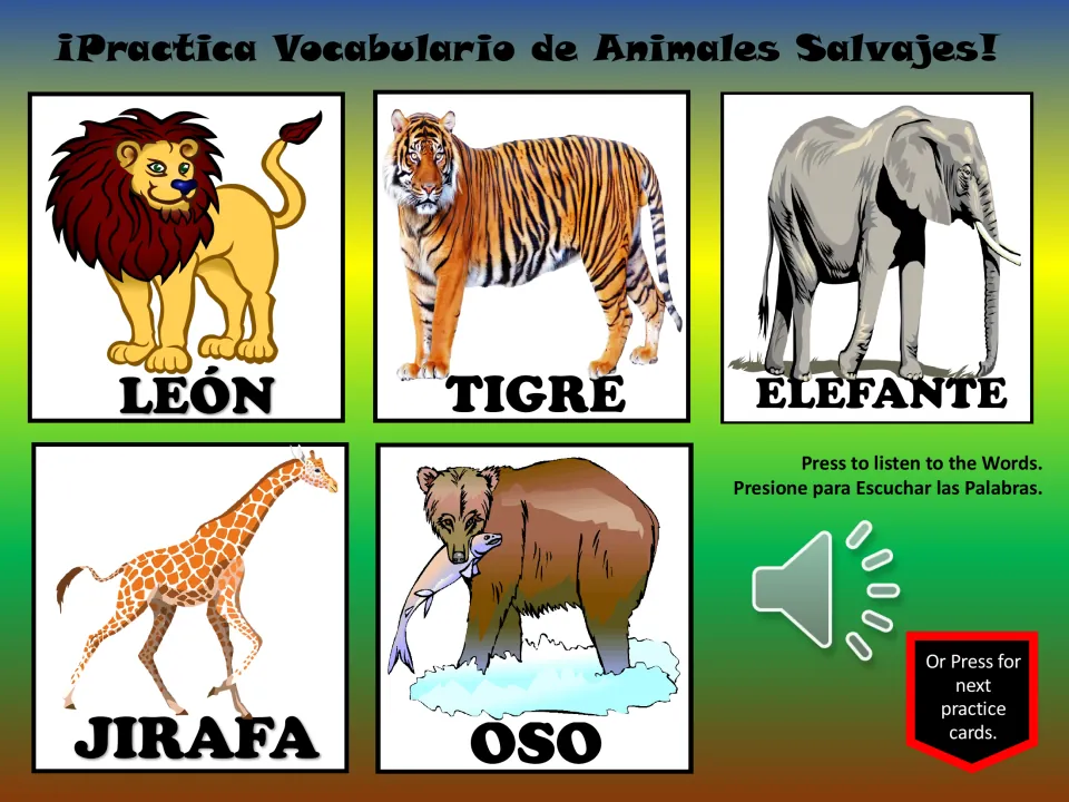 Spanish wild animal vocabulary slide: león (lion), tigre (tiger), elefante (elephant), jirafa (giraffe), oso (bear)