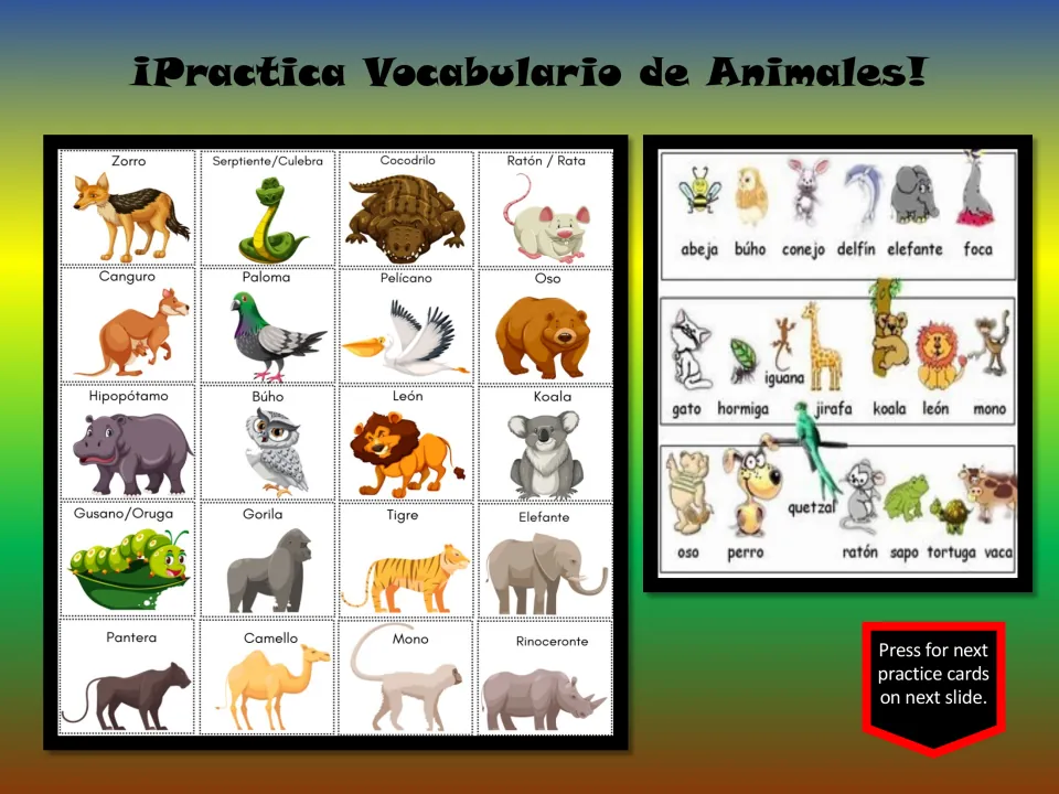 Spanish animal vocabulary review slide with two picture charts, including zorro (fox), búho (owl), and koala