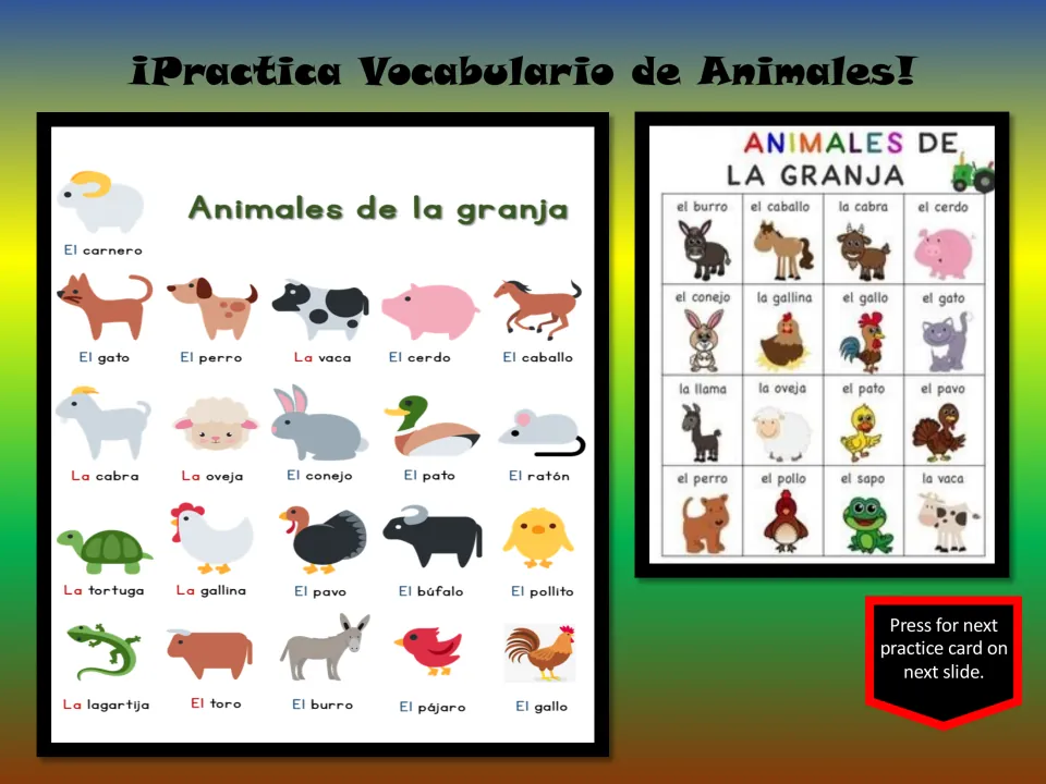Spanish farm animal vocabulary review slide with two picture charts, including el burro (donkey) and la oveja (sheep)