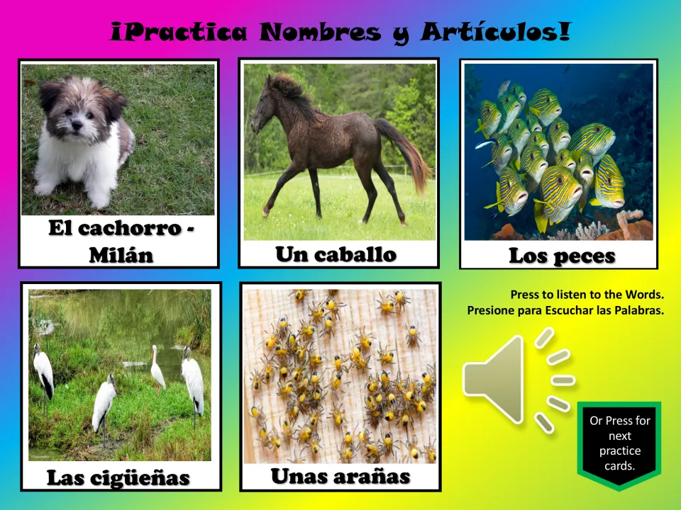 Five Spanish animal practice cards: el cachorro (the puppy), un caballo (a horse), fish, storks, and spiders