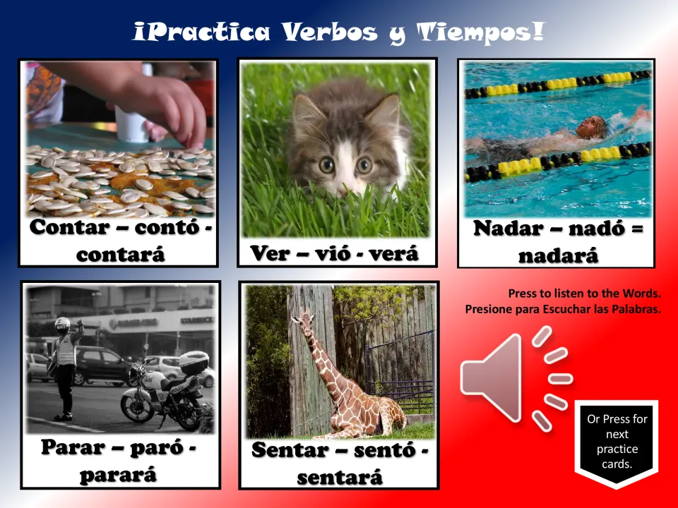 Verb practice cards 26–30: contar (to count), ver (to see), nadar (to swim), parar, and sentar