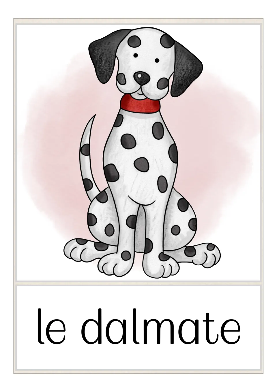 French dog breed flashcard labeled 'le dalmate' (Dalmatian), showing a spotted dog wearing a red collar