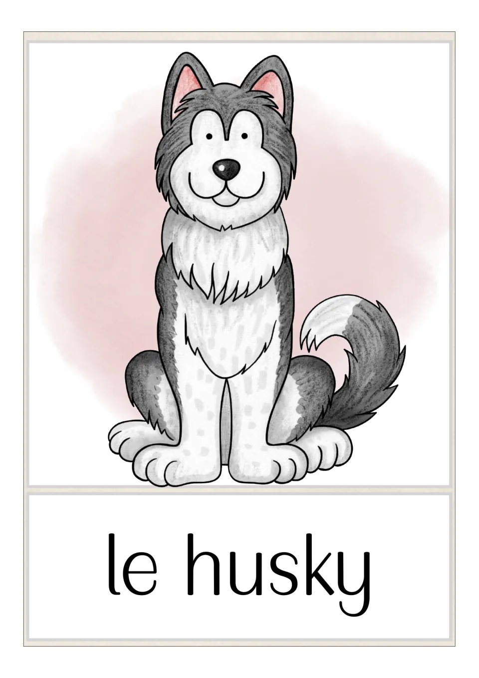 French dog breed flashcard labeled 'le husky' (husky), showing a seated gray and white dog with pointed ears