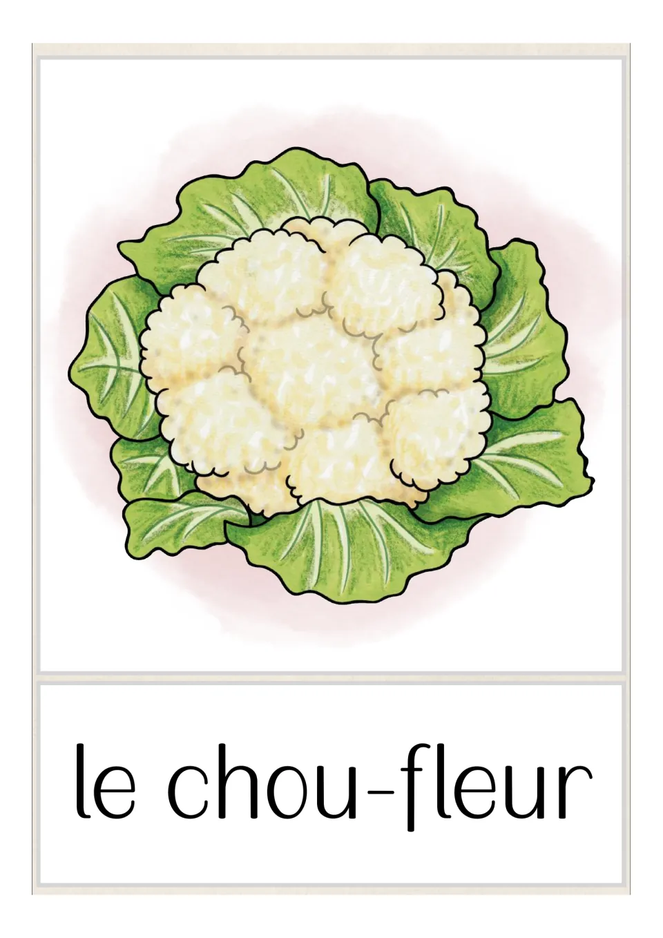 French vegetable vocabulary flashcard labeled 'le chou-fleur' (cauliflower), showing cauliflower with green leaves