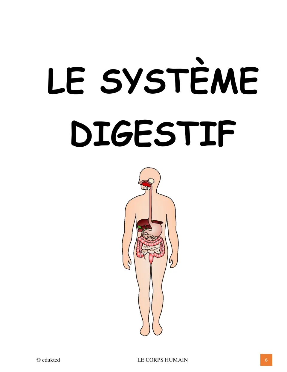 Le système digestif section title with a human figure showing the mouth, esophagus, stomach and intestines