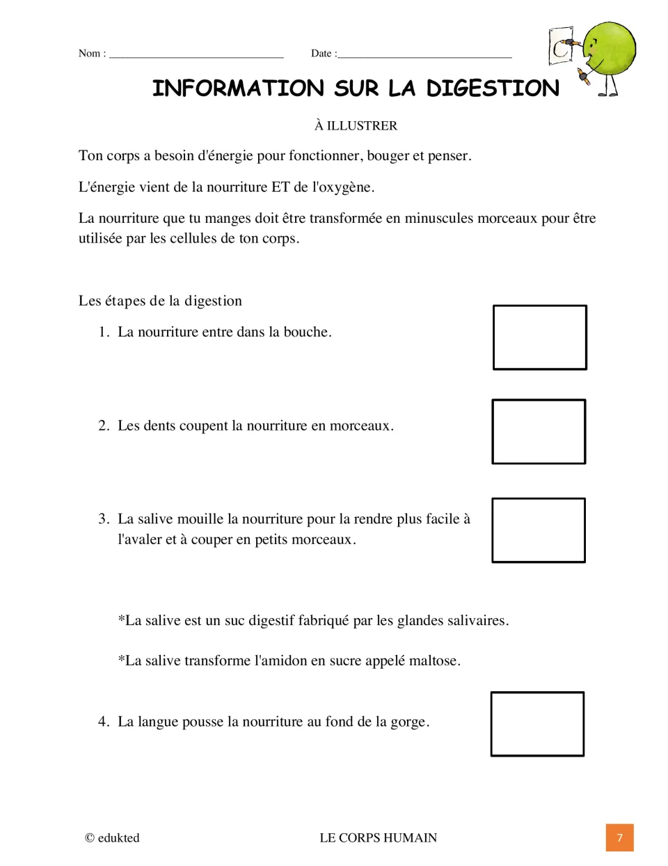 Information sur la digestion à illustrer: French text on why the body needs energy and digestion steps 1 to 4, each to draw