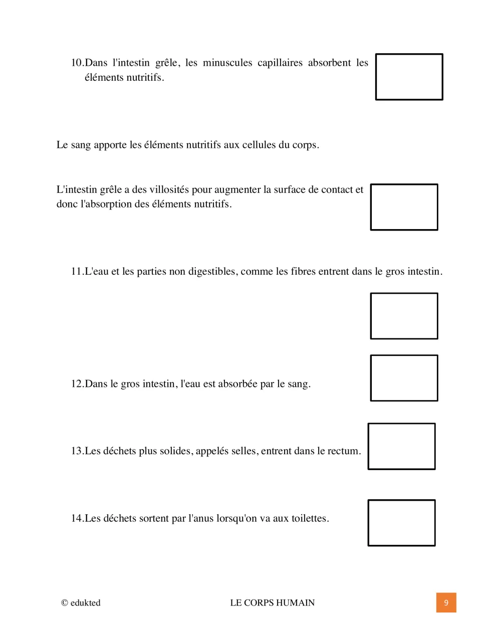 Digestion steps 10 to 14 in French: nutrient absorption by villi, the large intestine, rectum and anus, each to sketch