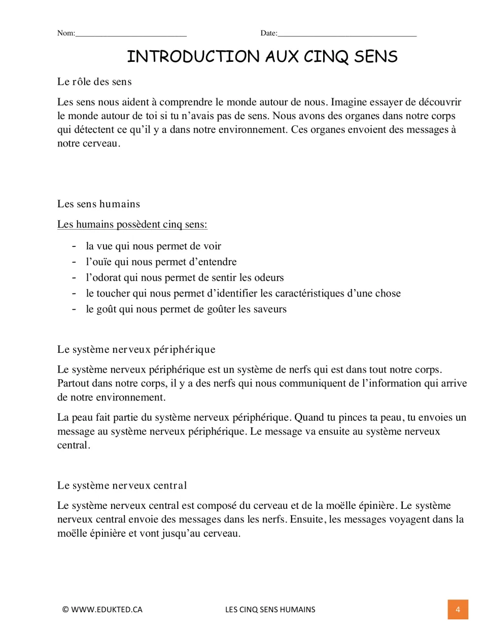 French reading on the five senses: students read about each sense's role and the peripheral and central nervous systems