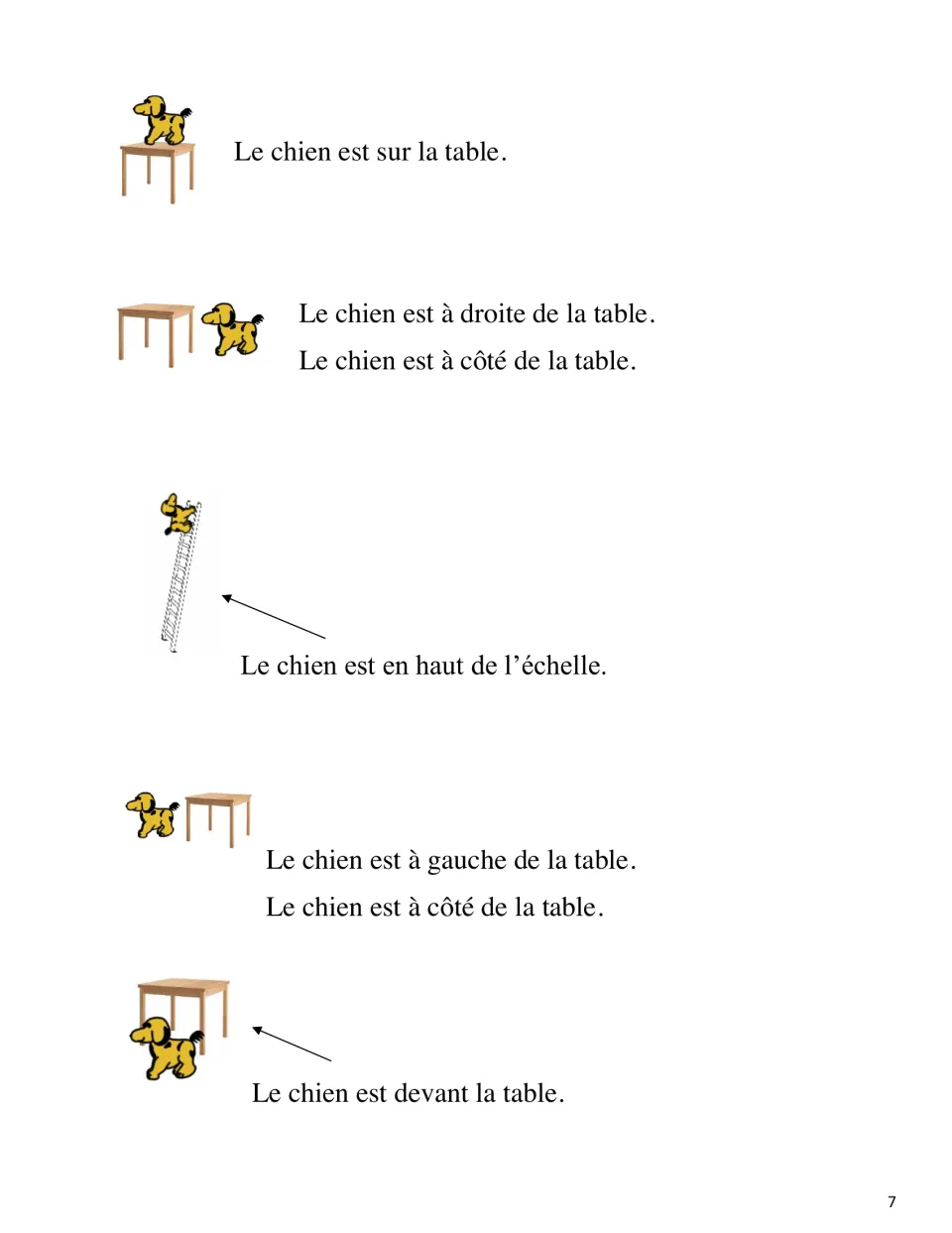 Dog pictures matched with sentences for sur la table, à droite, en haut de l'échelle, à gauche and devant la table