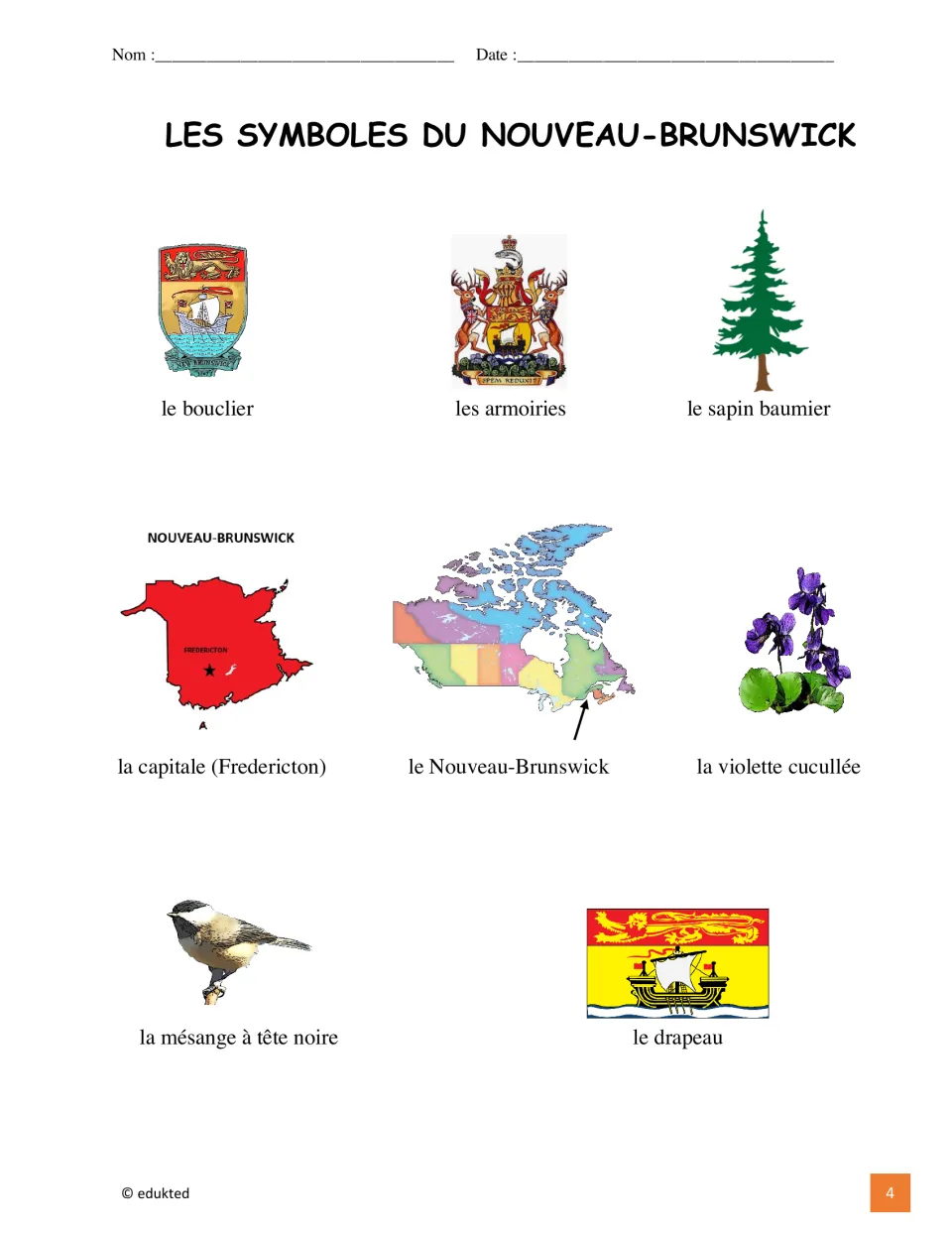French symbol reference for New Brunswick: shield, coat of arms, tree, capital, location, flower, bird, and flag