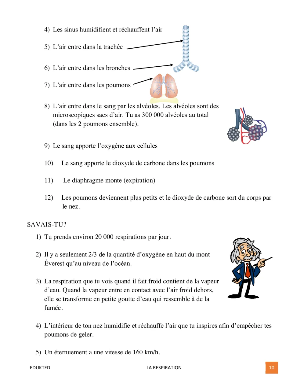 Breathing cycle steps 4 to 12 through trachea, bronchi, lungs and alveoli, plus Savais-tu? facts like 20,000 breaths a day