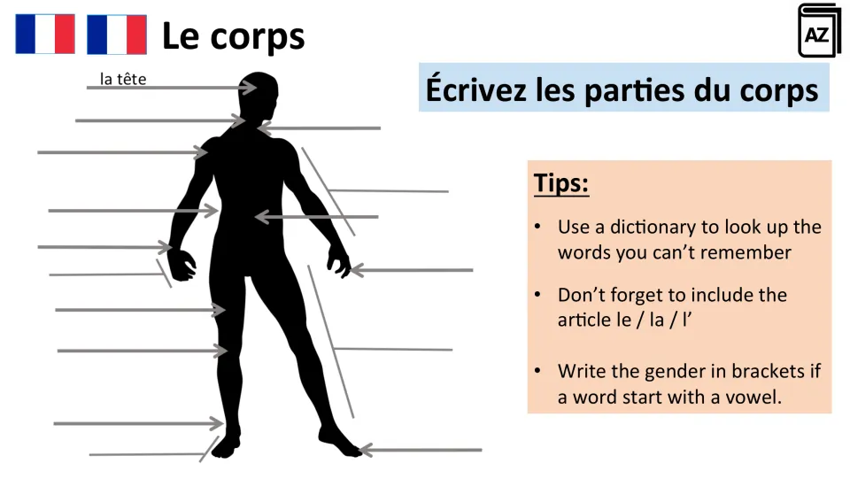 French body vocabulary practice: label a body diagram, using la tête (head) as an example and adding articles