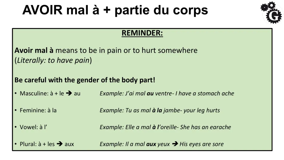 French grammar review: avoir mal à (to hurt) with au, à la, à l’, and aux for different body parts