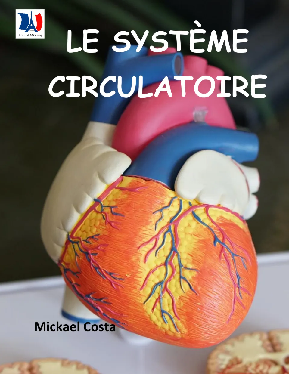 Cover of the French circulatory system workbook by Mickael Costa, featuring an anatomical heart model