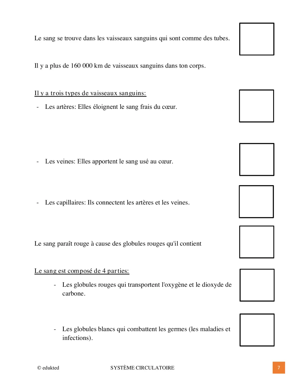 French reading to illustrate explains arteries, veins, capillaries, red blood cells and white blood cells