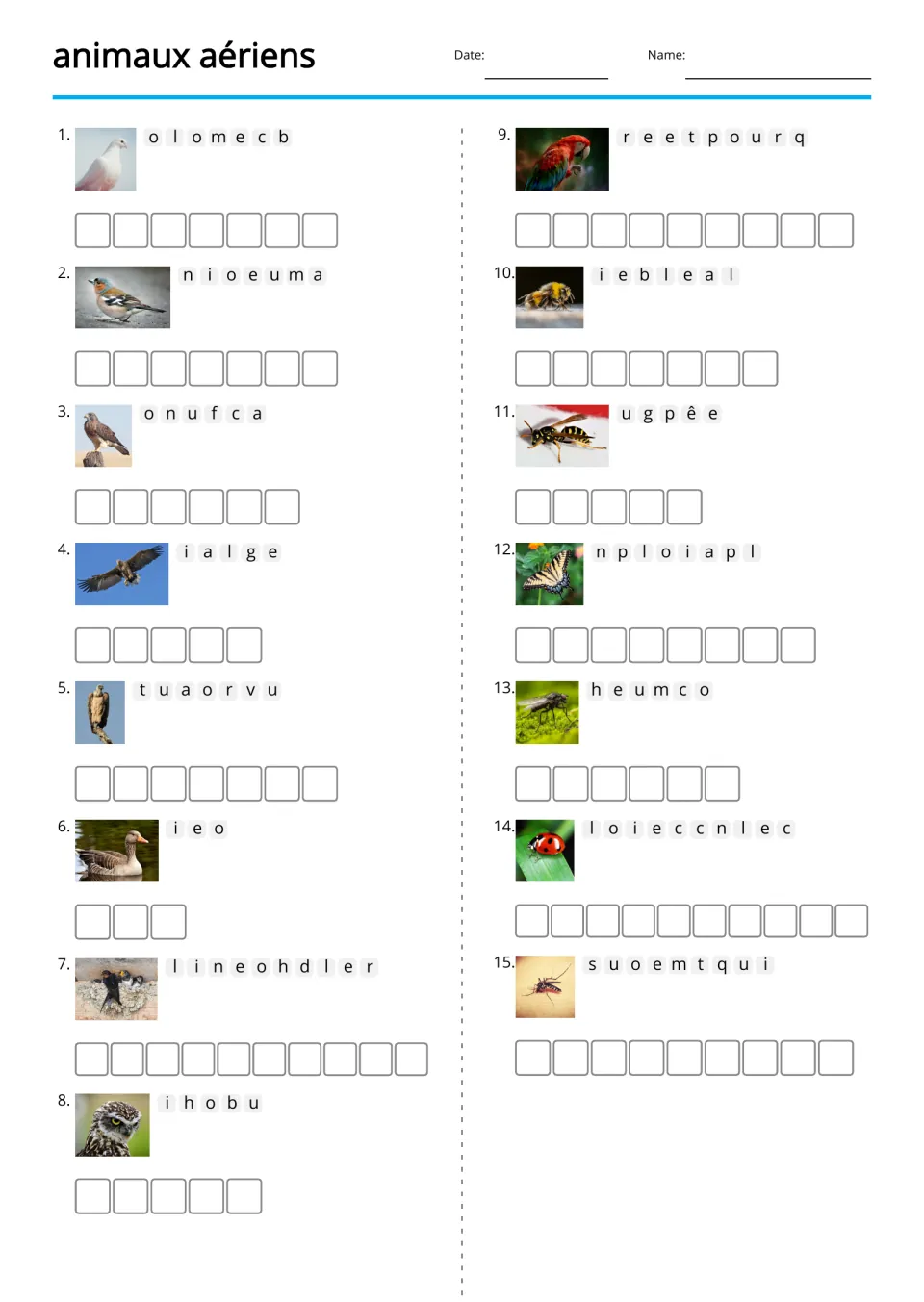 Picture-supported French anagrams for 15 animals, including colombe (dove), oie (goose), and hibou (owl)