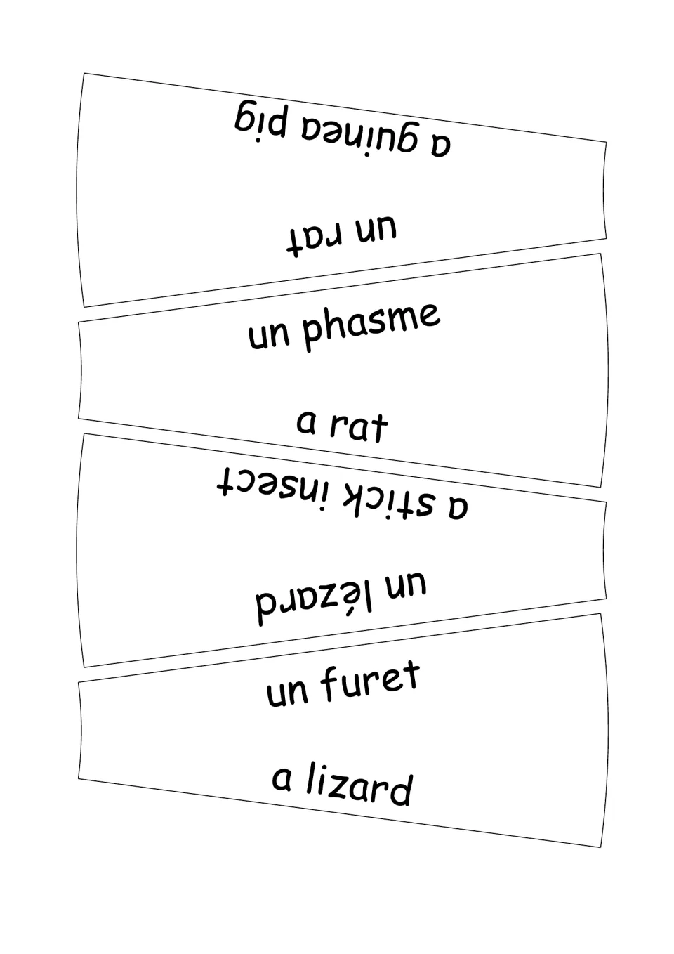 French-English wheel puzzle labels 13–16: un rat, un phasme (stick insect), un lézard and un furet.