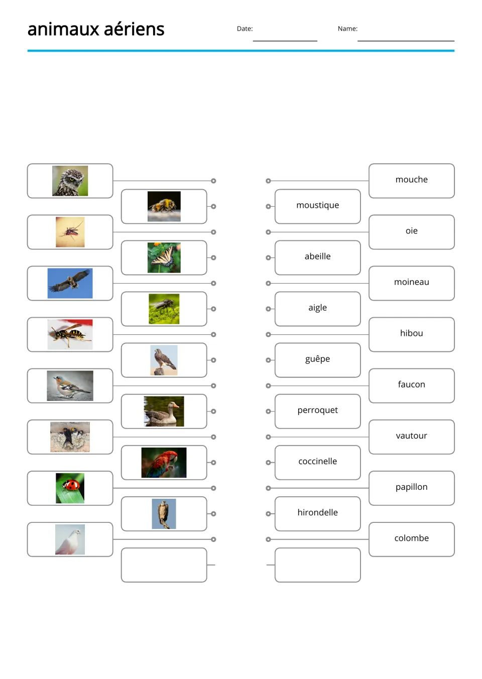 French picture-to-word matching for 15 animals, including mouche (fly), oie (goose), and aigle (eagle)