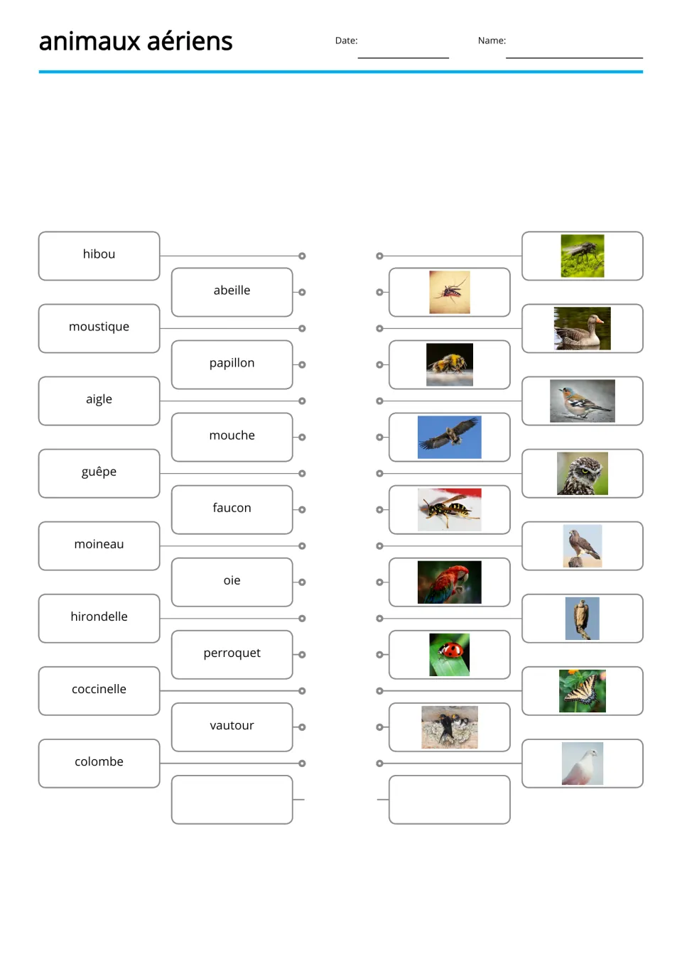 French word-to-picture matching for 15 animals, including hibou (owl), abeille (bee), and guêpe (wasp)